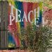 Teach Peace