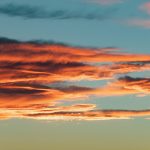 lucie-dorne--wMF6zBHfu0-unsplash
