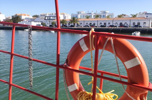 Orange lifebuoy secured to a red boat railing over calm harbor water with white buildings along the quay in the background.